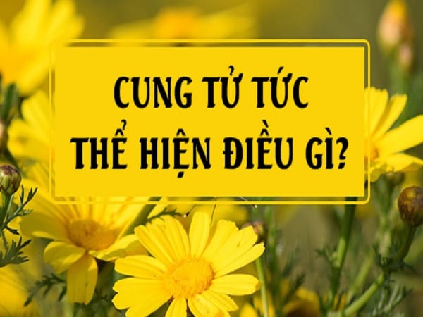 Ý nghĩa của cung Tử Tức trong tử vi