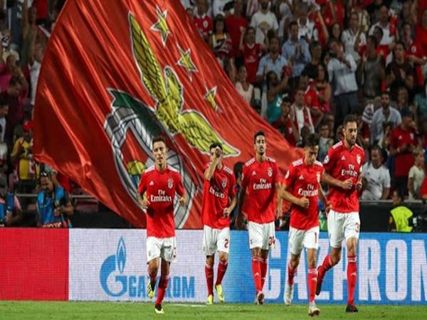 Câu Lạc Bộ Benfica: Huyền Thoại Bồ Đào Nha