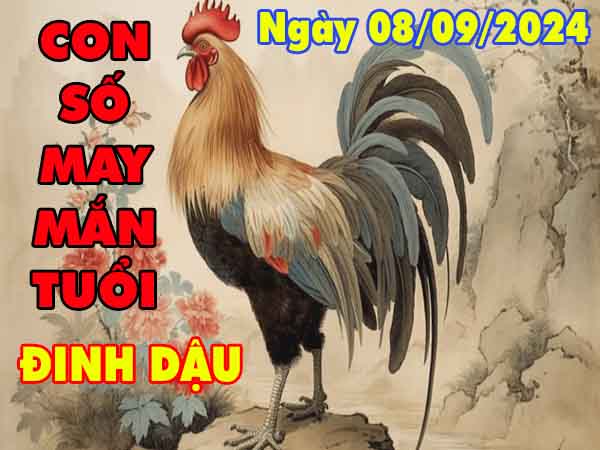 Thống kê con số may mắn tuổi Đinh Dậu ngày 8/9/2024 chủ nhật hôm nay