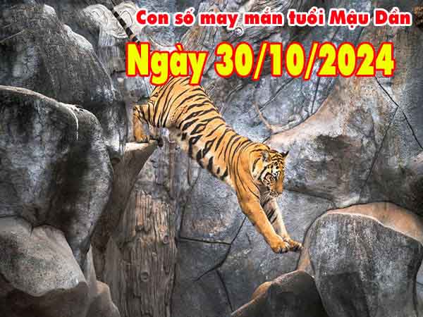 Thống kê con số tài lộc tuổi Mậu Dần ngày 30/10/2024 thứ 4 hôm nay